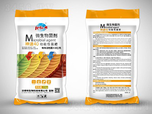 ����40�����Ծ���24-6-10-�ֲ���