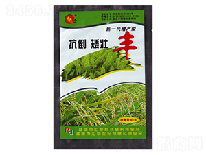 ���������S������-�R���r(n��ng)��