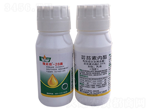 �|̦�؃�(n��i)������-ԥ���r(n��ng)-���r(n��ng)