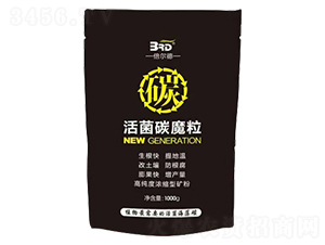 ���̼ħ��-������