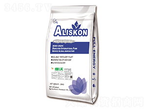 ��S�I(y��ng)�B(y��ng)���B(t��i)��20-20-20+TE-����-���{(l��n)