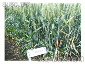 С���N��-ꖹ�818