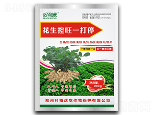 ��������һ��ͣ-������-��ֲ�_(d��) 