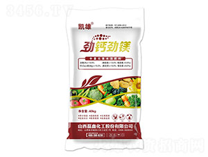 ����Ԫ��ˮ�ܷ���-�P��-���λ���