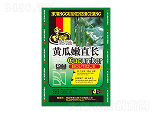 �S����ֱ�L(zh��ng)-����ʩ