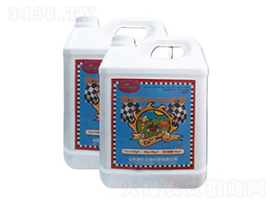 �������w�}�V�τ�-�ؾ�����