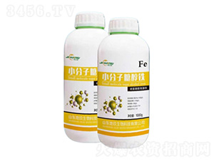 С�����Ǵ��F�~���-�ؾ�����