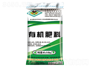 ���B(t��i)�ЙC(j��)����-��S�����h(hu��n)��