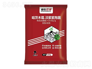 ����ľù��������ù��-���r�羀-���˸�