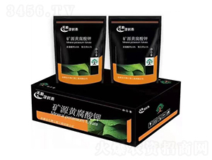 �VԴ�S�����-��M(m��n)�}(c��ng)