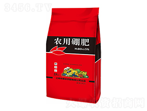 �r(n��ng)�����-���r(n��ng)�r(n��ng)��