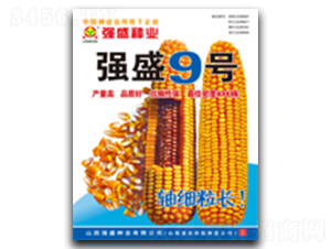 ��ʢ9̖-���׷N��-��ʢ�N�I(y��)