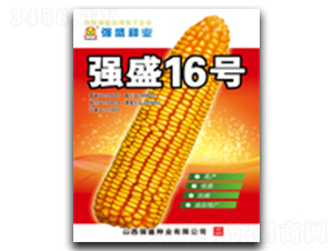 ��ʢ16̖-���׷N��-��ʢ�N�I(y��)