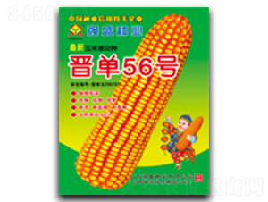 �x��56̖-���׷N��-��ʢ�N�I(y��)