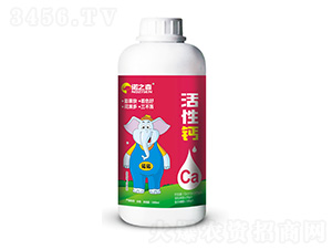 �����}-�Z֮ɭ