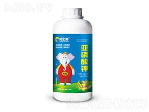 �������-�Z֮ɭ