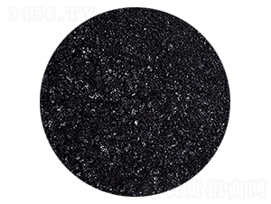 �S�����-�𺣵|