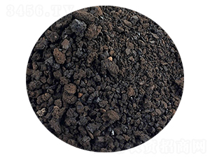 ��ֲ�����-�𺣵|