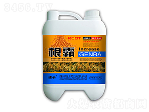 ����-����