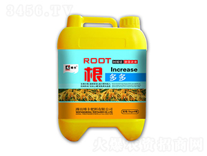 �����-����