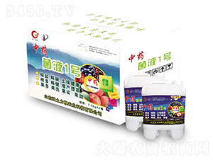 ��ˎ����Һ1̖-�W�����F