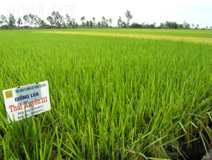 ̩��(y��u)1̖(h��o)-ˮ���N��-���C�N�I(y��)