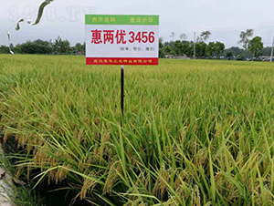 �݃Ƀ�(y��u)3456-ˮ���N��-���A���r(n��ng)