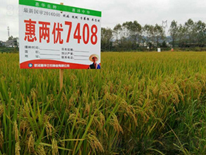 �݃Ƀ�(y��u)7408-ˮ���N��-���A���r(n��ng)