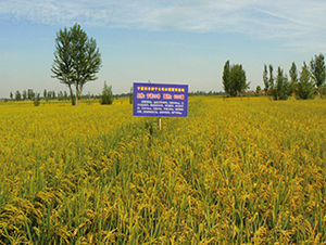 ����28̖(h��o)-ˮ���N��-���S�N�I(y��)