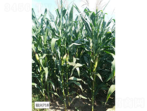 �y�d718-���׷N��-�y�d�N�I(y��)