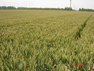 ����22-С���N��-�y�d�N�I(y��)