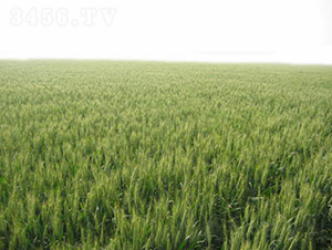 ����66-С���N��-�y�d�N�I(y��)