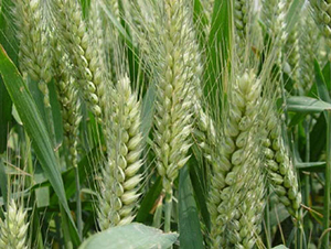 ̩�r(n��ng)18-С���N��-�y�d�N�I(y��)