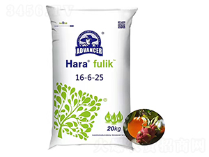 �����16-6-25-���ۻ��W(xu��)