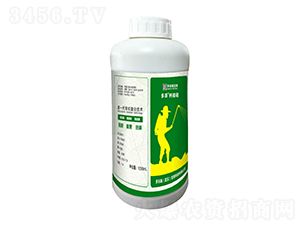 �����}�V��-����ʩ