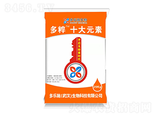 ���ʮ��Ԫ��-����ʩ