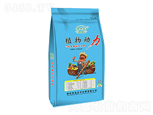 植物動(dòng)力-金億豐