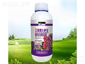 ���������ɫ��-������