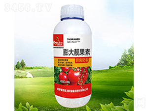 ����n����-������