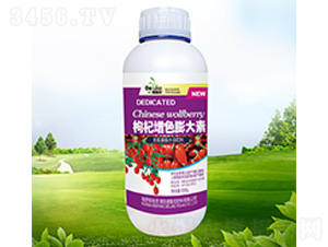 �����ɫ�����-������