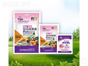 �����ڷ۴ٻ�������+�T����-������