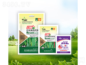 �������L��ֱ���v�+�T����-������