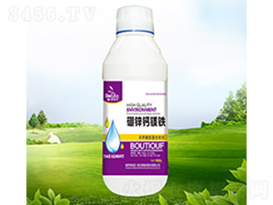 ���\�}�V�F-������ 