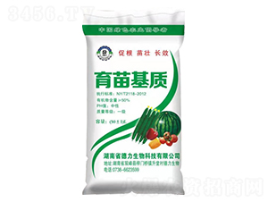 �߹�������|(zh��)-��������