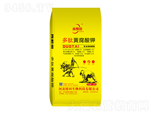 �����S�����-�а���-��������