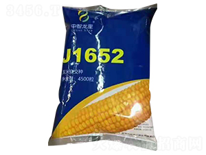 J1652-���׷N��-��������