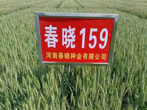 ����159-С���N��-���ԷN�I(y��)