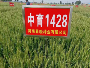 ����1428-С���N��-���ԷN�I(y��)