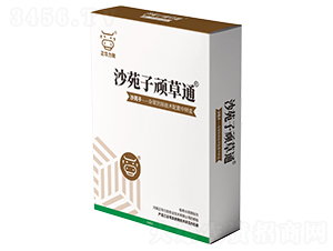 ɳԷ���B��ͨ-���A����