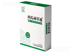 �����B��ͨ-���A����